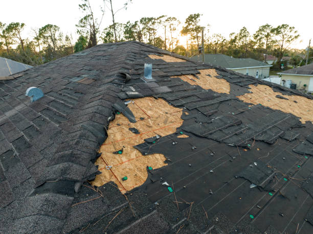 Best Cold Roofs  in USA